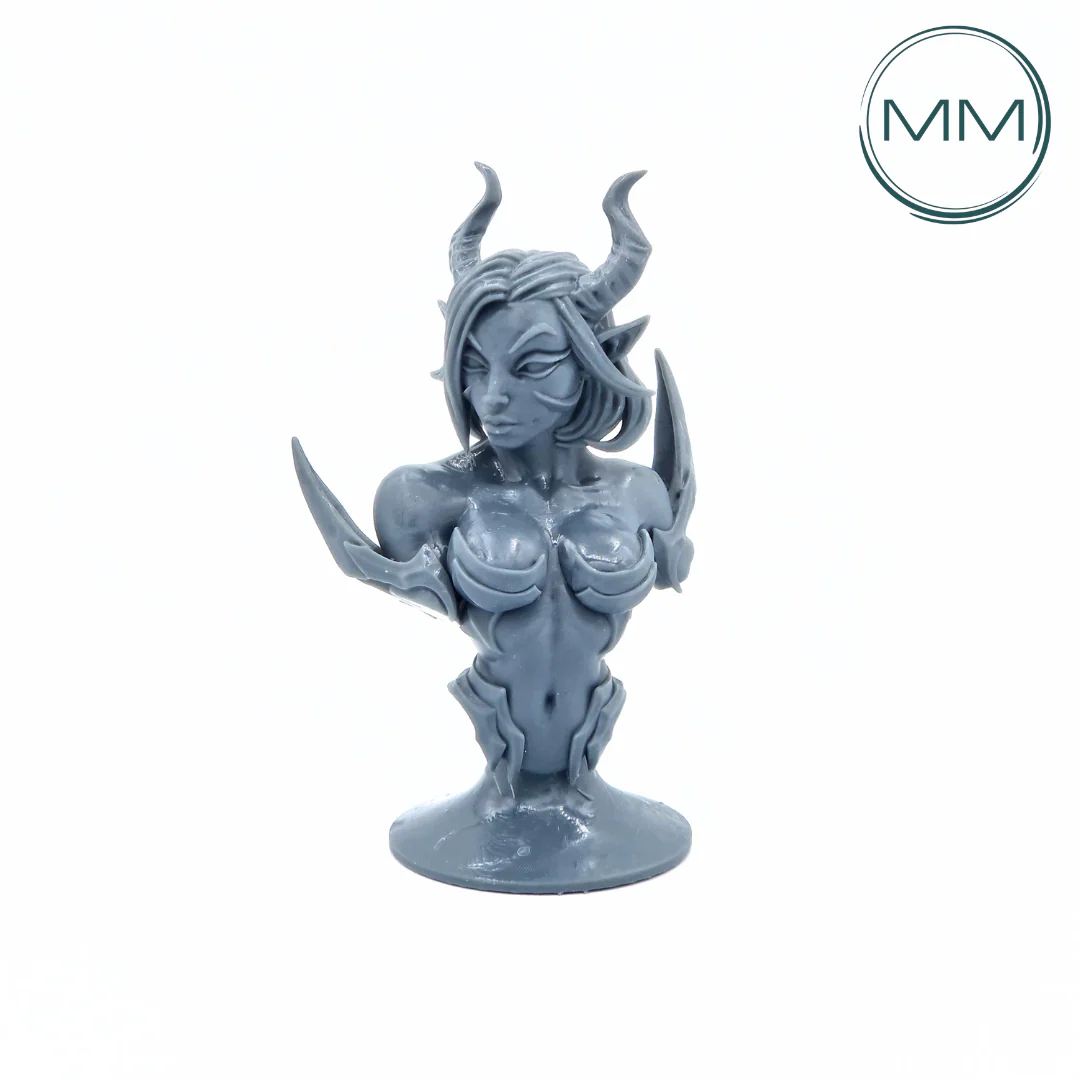 Miniatuur 2