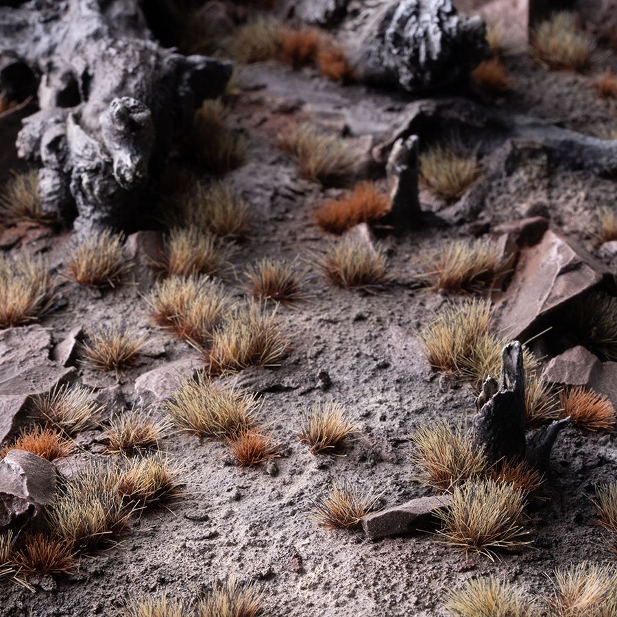 Miniatuur 1