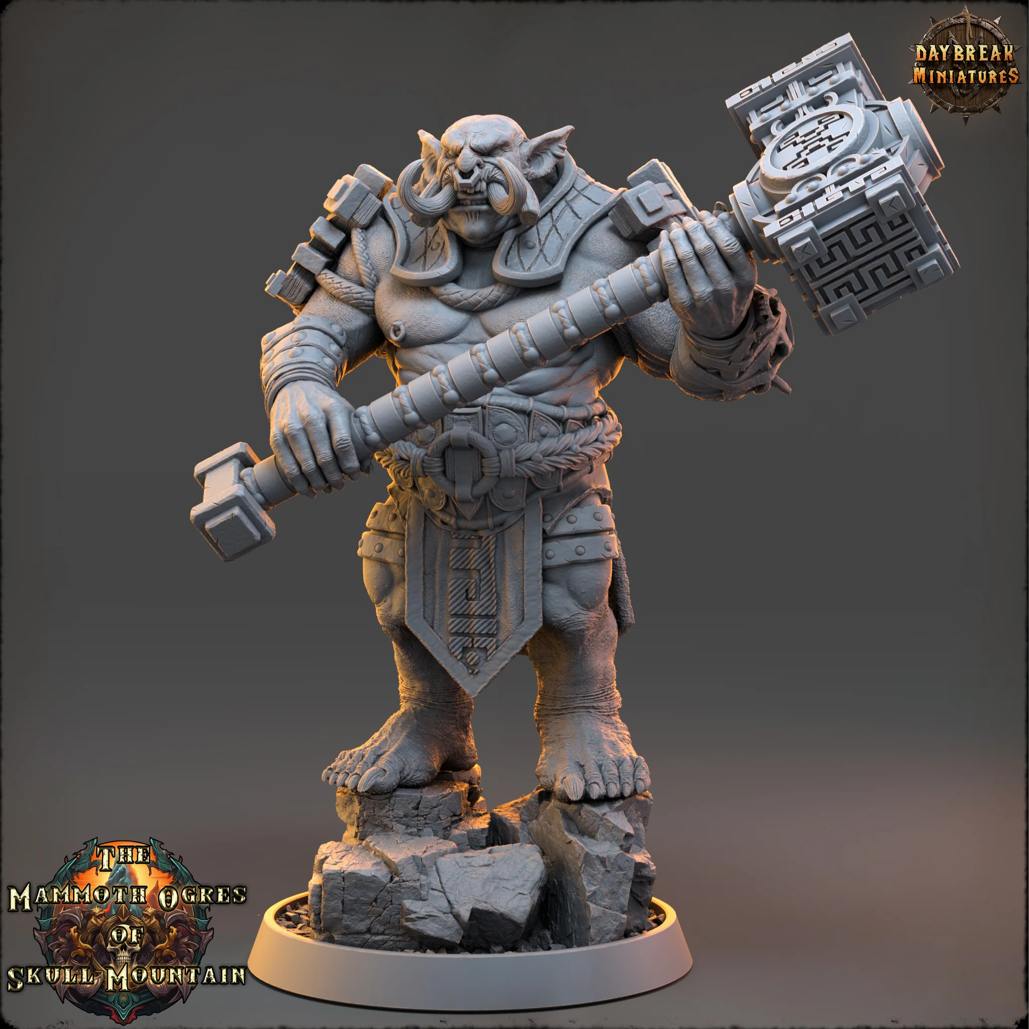 Miniatuur 1