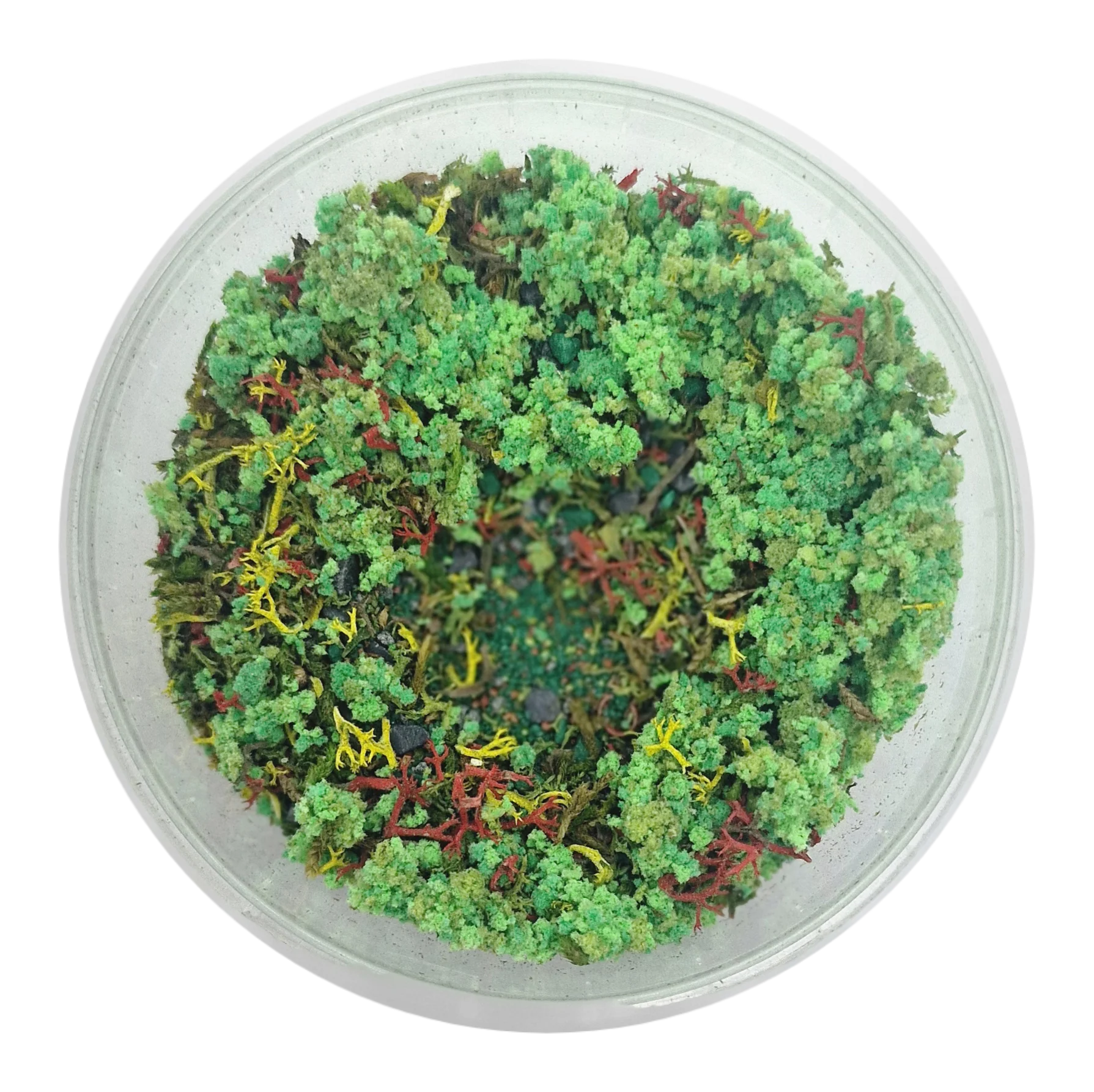 Miniatuur 2